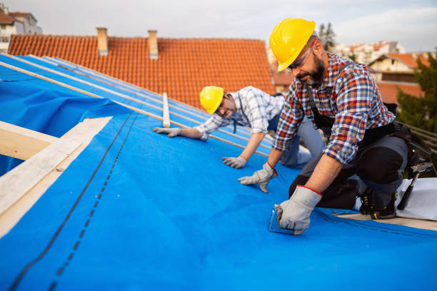 Best Best Roofing Contractors  in Berrien Springs, MI