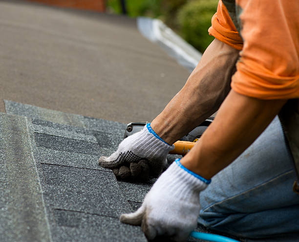 Best Affordable Roofing Company  in Berrien Springs, MI