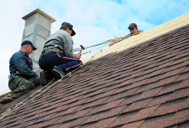 Best Gutter Installation and Roofing  in Berrien Springs, MI