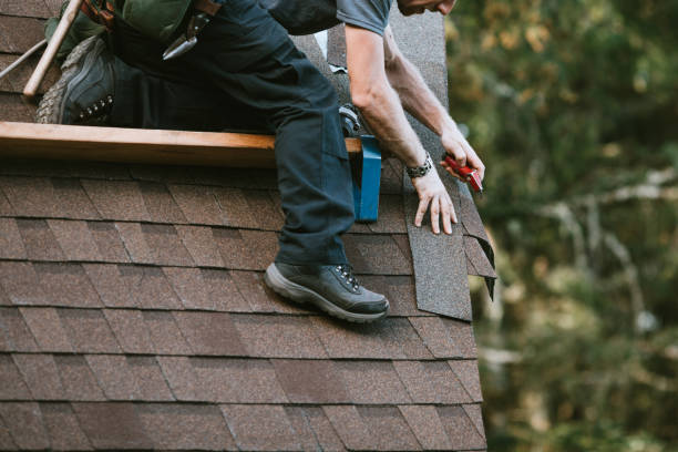 Best Roof Restoration Services  in Berrien Springs, MI