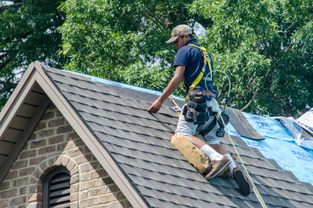 Best Emergency Roof Repair  in Berrien Springs, MI